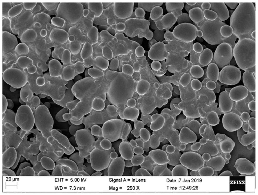 Absorbable spongy bone wax with hemostatic and bone healing promoting functions and preparation method of absorbable spongy bone wax