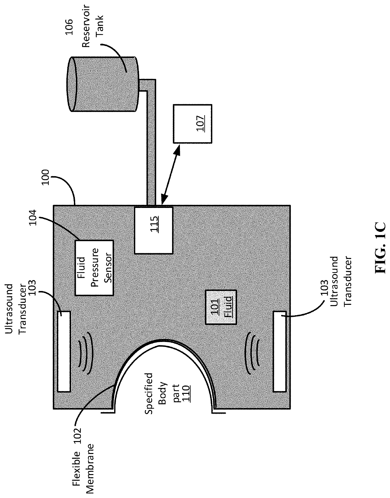 Retention and stabilization of anatomy for ultrasound imaging