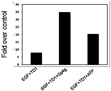 Percutaneous absorption promotion composition and application thereof