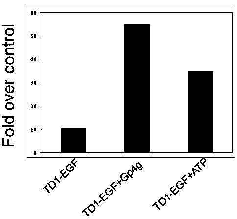 Percutaneous absorption promotion composition and application thereof