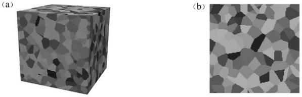 Semi-quantitative prediction and visualization of mesoscopic stress and texture during deformation of alpha titanium