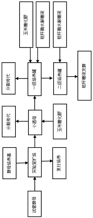 Propagation method of novel yeast for metabolism of pentose and hexose by co-fermentation