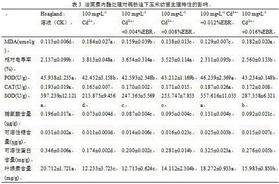 Method for treating and alleviating cadmium adverse environmental stress damage to corn seedlings by aid of exogenous brassinolide