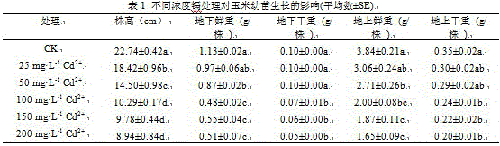 Method for treating and alleviating cadmium adverse environmental stress damage to corn seedlings by aid of exogenous brassinolide