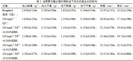 Method for treating and alleviating cadmium adverse environmental stress damage to corn seedlings by aid of exogenous brassinolide