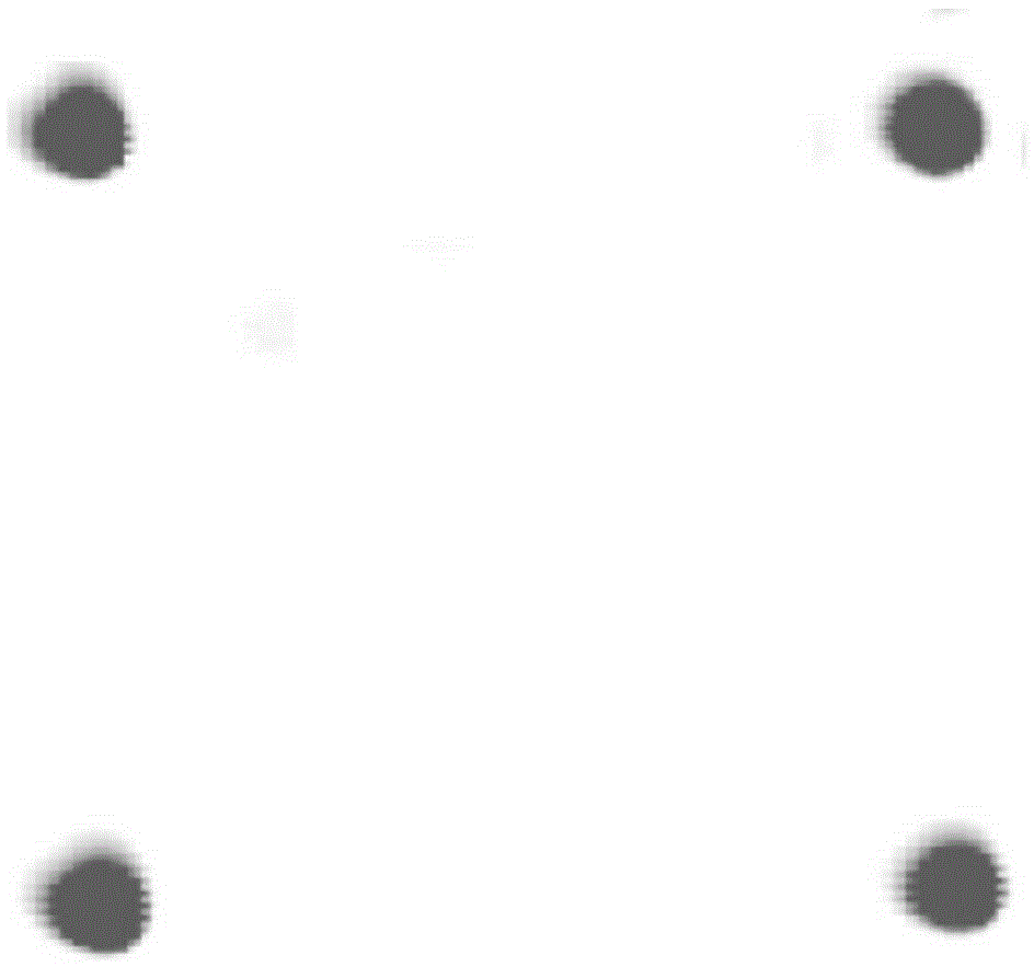 Cervical cancer detection polypeptide and detection device and detection kit