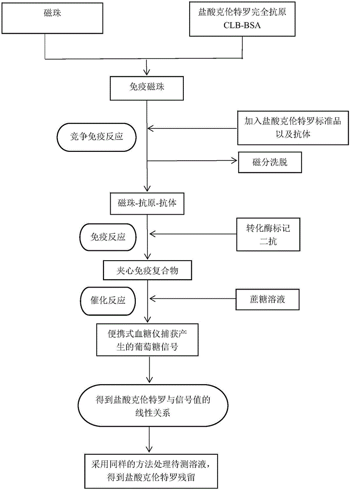 Method for detecting clenbuterol hydrochloride residues based on blood glucose meter