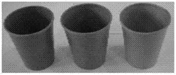 Degradable perlite tableware and preparation method thereof