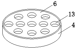 Cancer gene mutation and gene spreading detection kit