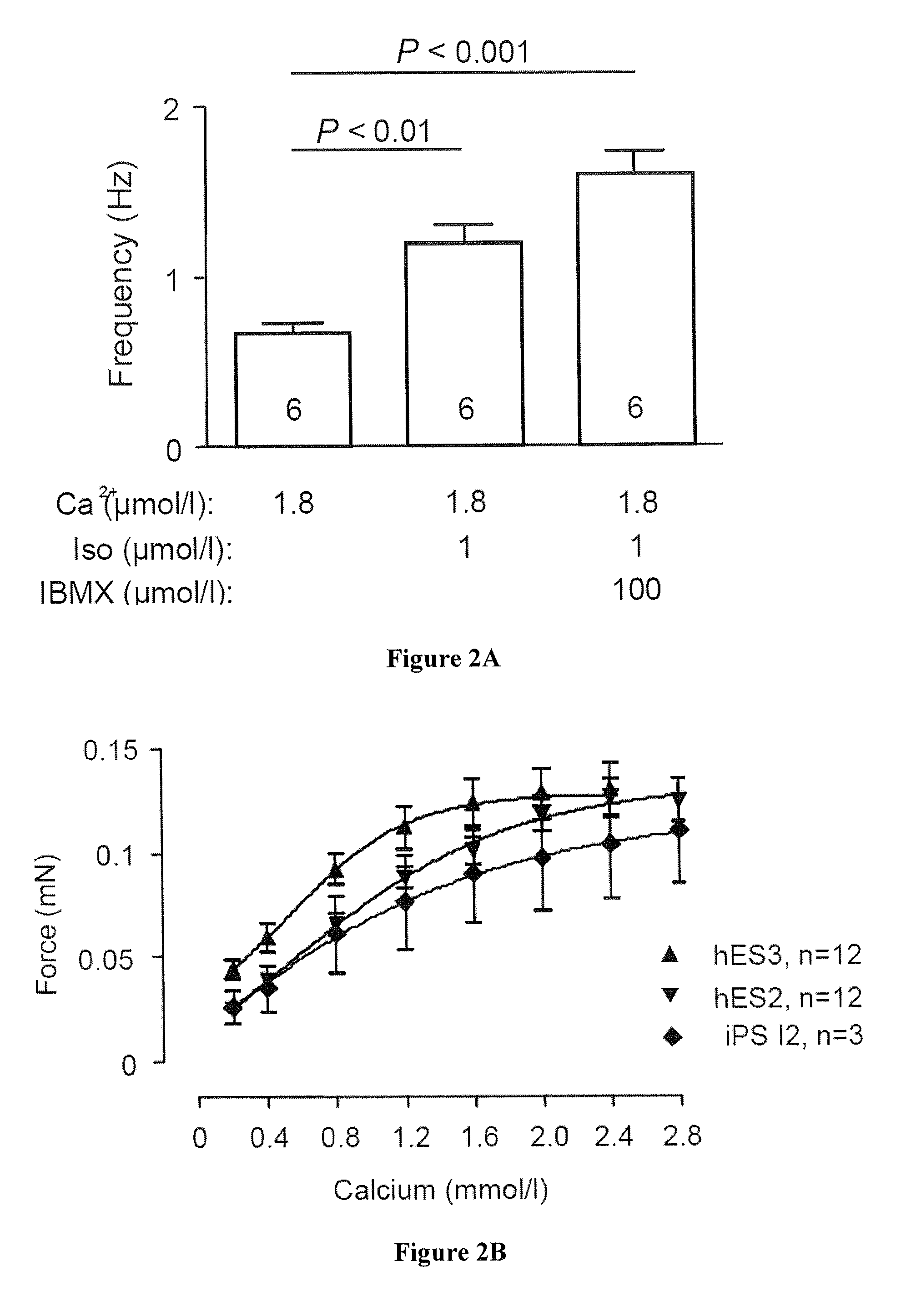 Method for producing engineered heart muscle (EHM)