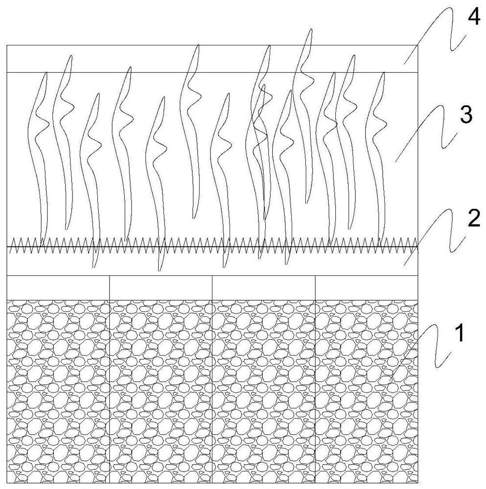 Method for estimating carbon sequestration capacity of sea grass bed of marine ecosystem