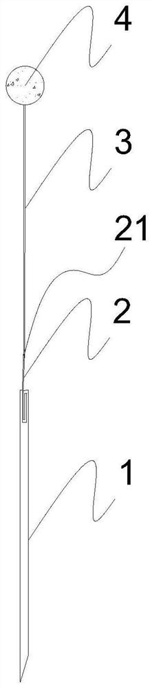 Method for estimating carbon sequestration capacity of sea grass bed of marine ecosystem