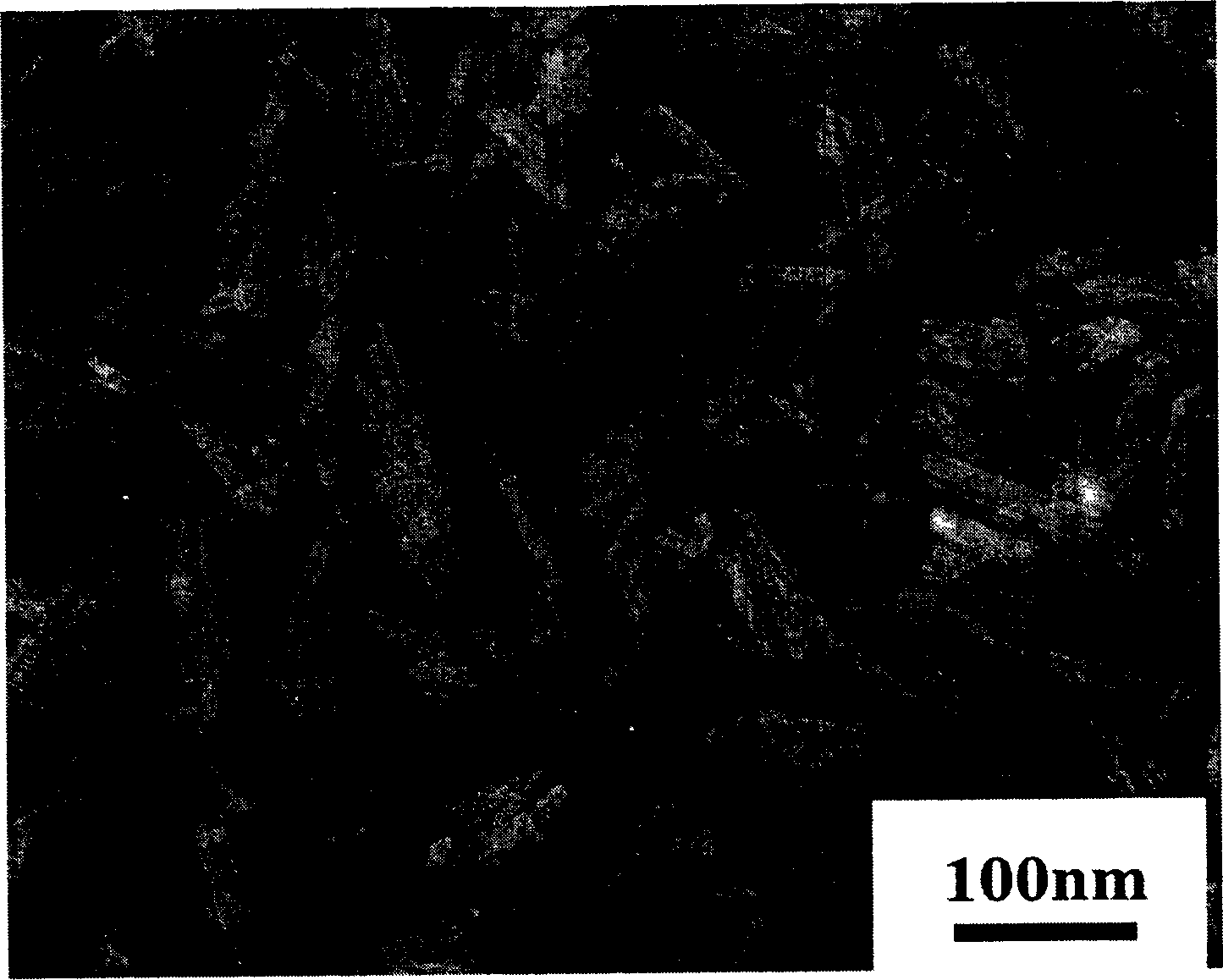 Hexagonal sheet-like barium ferrite magnetic nanometer powder preparation method