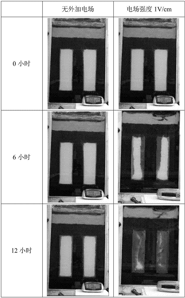 Method for remedying organic contaminated soil through electric diffusion-electric heating coupling