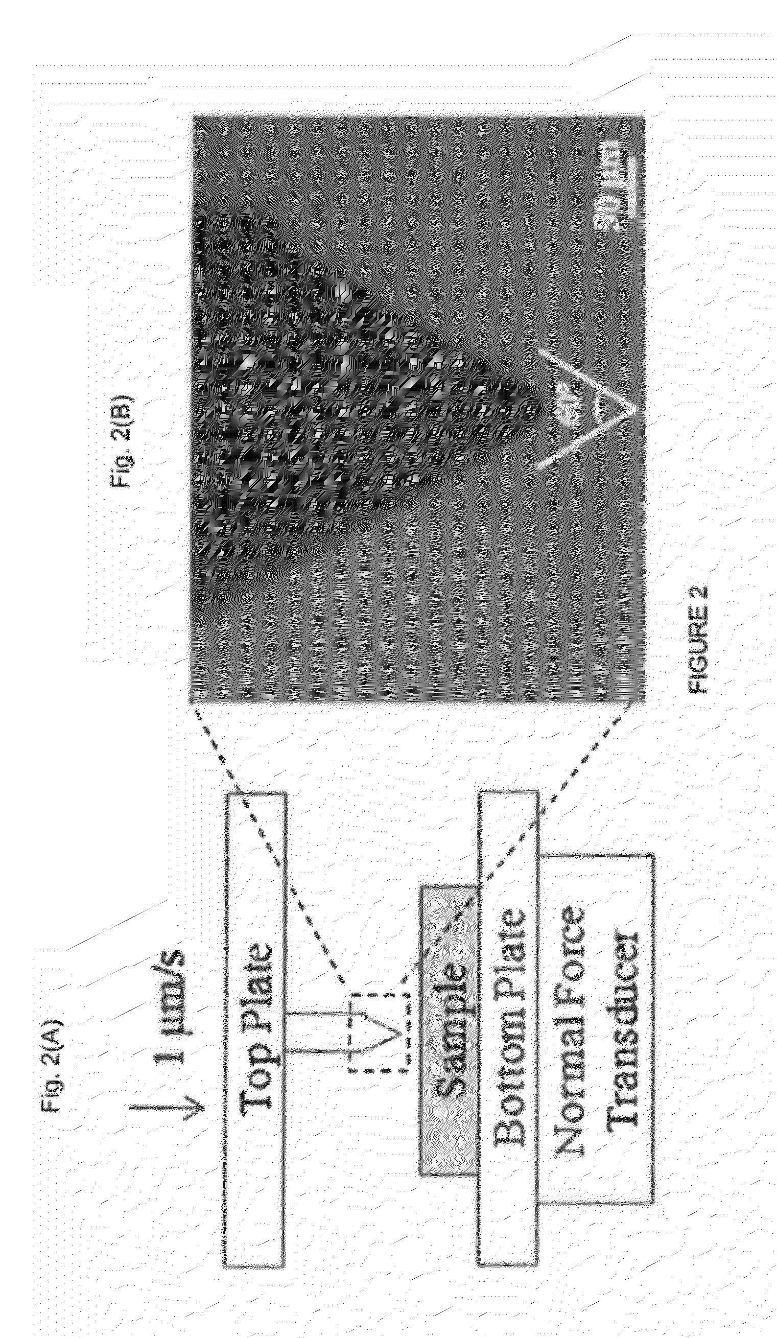 Functionally Graded Shape Memory Polymer