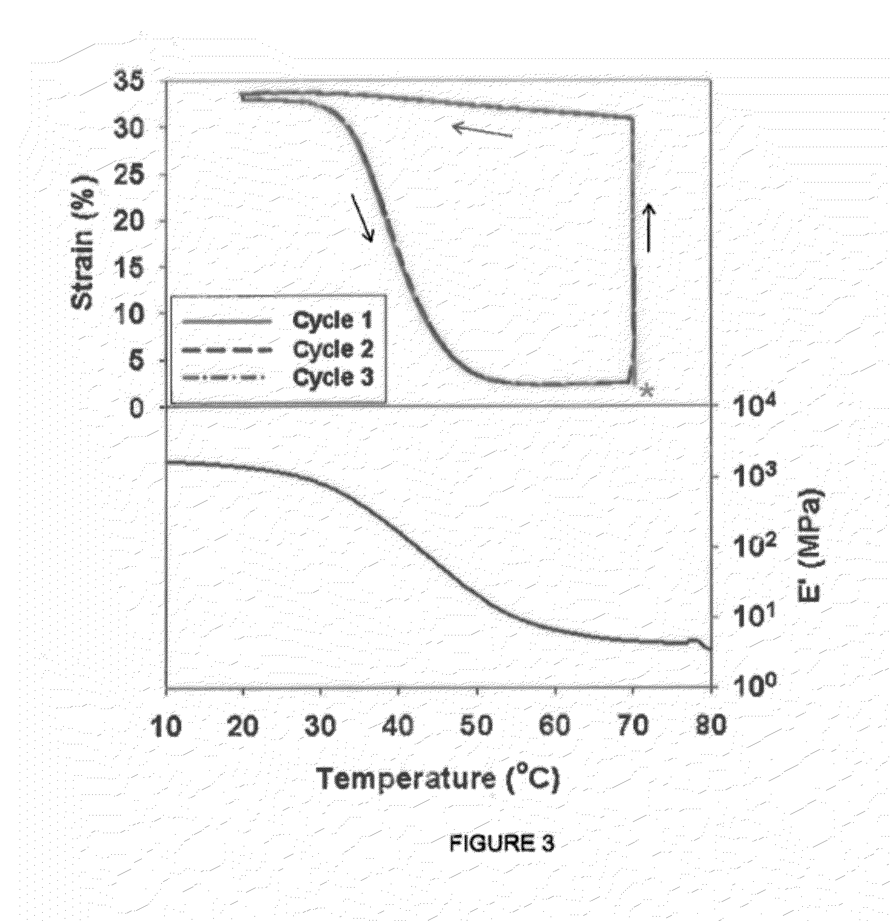 Functionally Graded Shape Memory Polymer