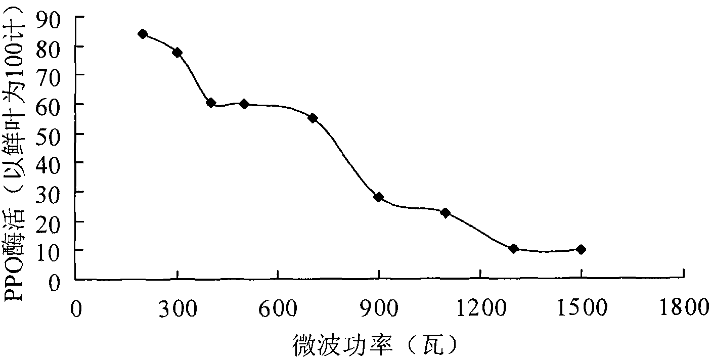 Production method of sweet potato leaf compound health protection tea