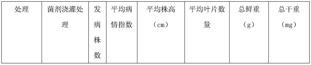 Special compound microbial agent for tobacco seedling raising and preparation method and application of special compound microbial agent