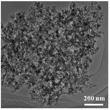 A nitrogen-doped porous carbon immobilized noble metal catalyst and its preparation method and application