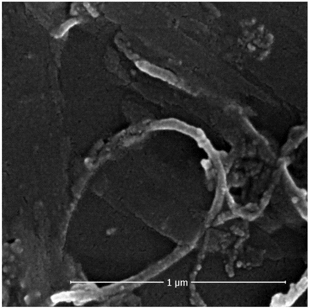 Composite carbon-based [Mo3S13]&lt;2-&gt; electrochemical hydrogen evolution catalyst and preparation method thereof