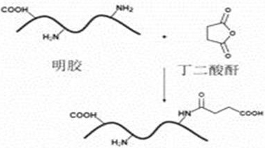 Preparation method of polypeptide hydrogel capable of programmatically releasing NO and promoting angiogenesis