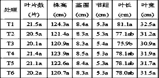 A method of drip irrigation and fertilization under plastic film for tobacco