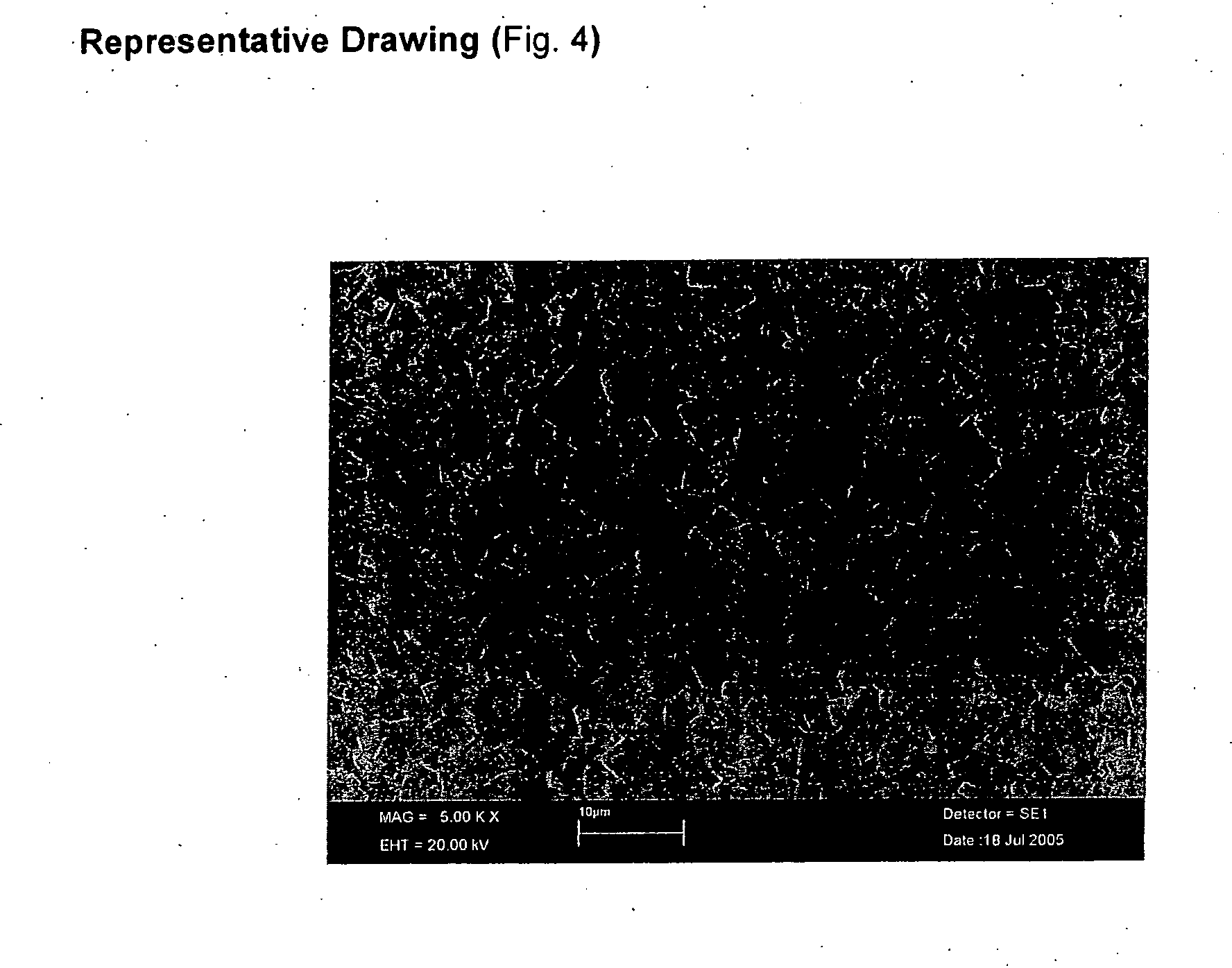 Piezoelectric ceramic composition and the method for preparing the same