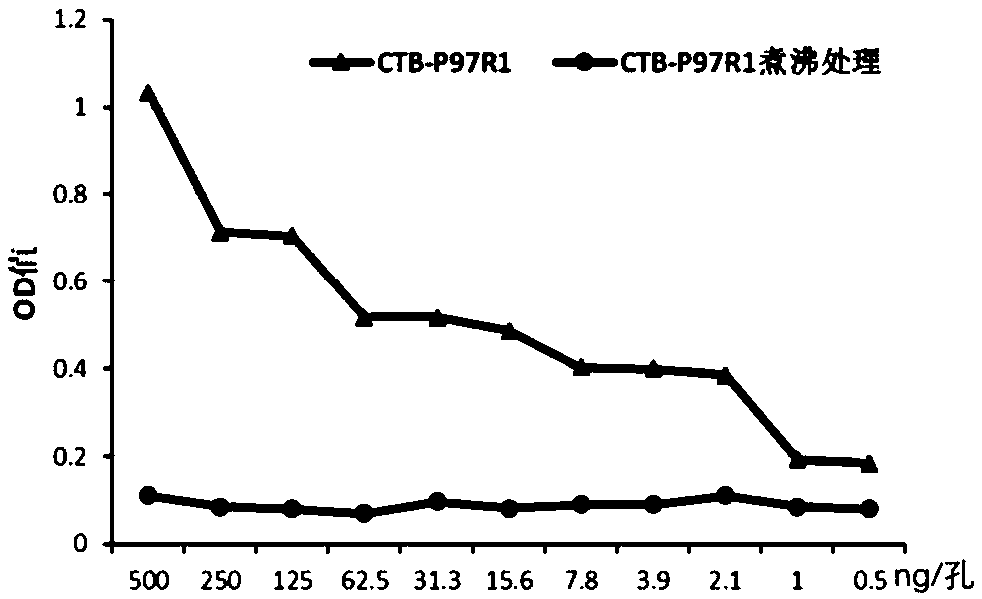 Swine Mycoplasmal pneumonia live vaccine mucosal immune adjuvant, preparation method and application thereof