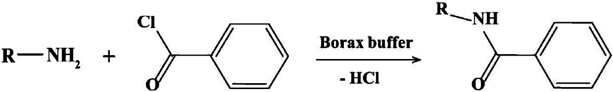 Rapid analysis method of biogenic amine in fish