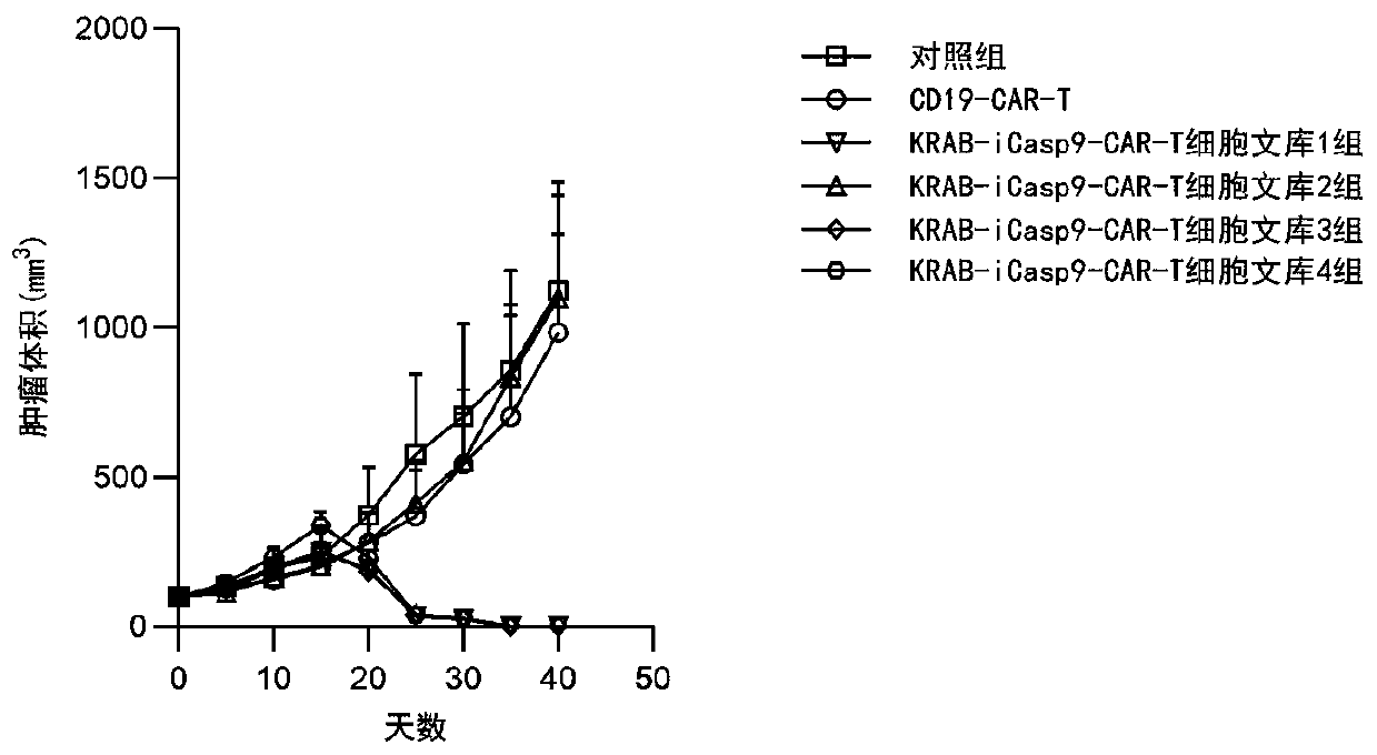 Chimeric antigen receptor cell library carrying gene element combination, preparation and screening method and application thereof