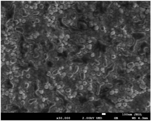 Olefin/alkane separation membrane and preparation method thereof