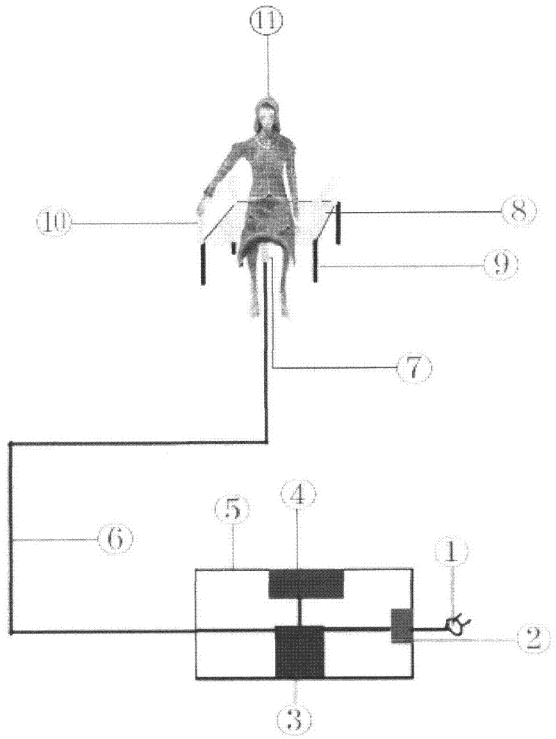 Method and device for treating proctoptosis with ultrasonic wave and proctoptosis drug