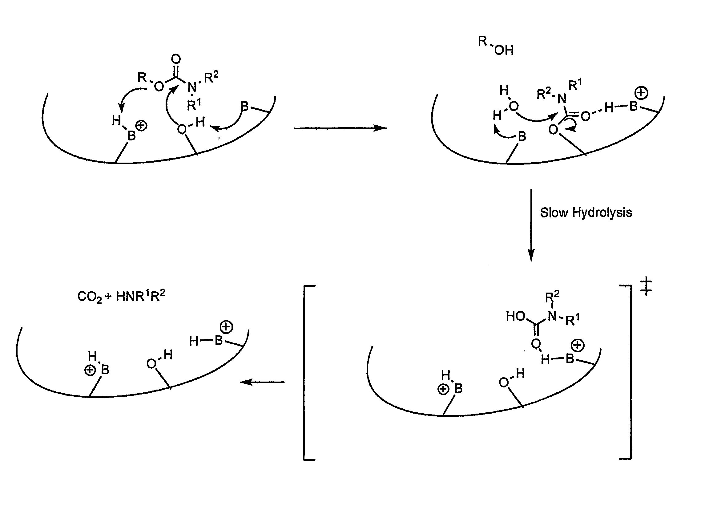 Carbamoyl Esters That Inhibit Cholinesterase And Release Pharmacologically Active Agents