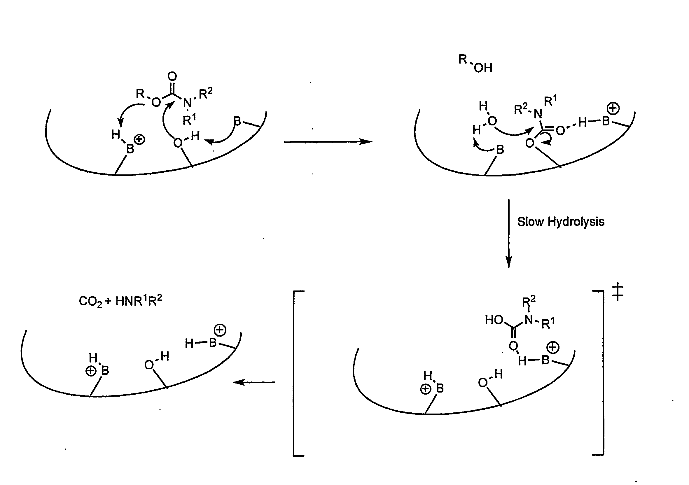 Carbamoyl Esters That Inhibit Cholinesterase And Release Pharmacologically Active Agents