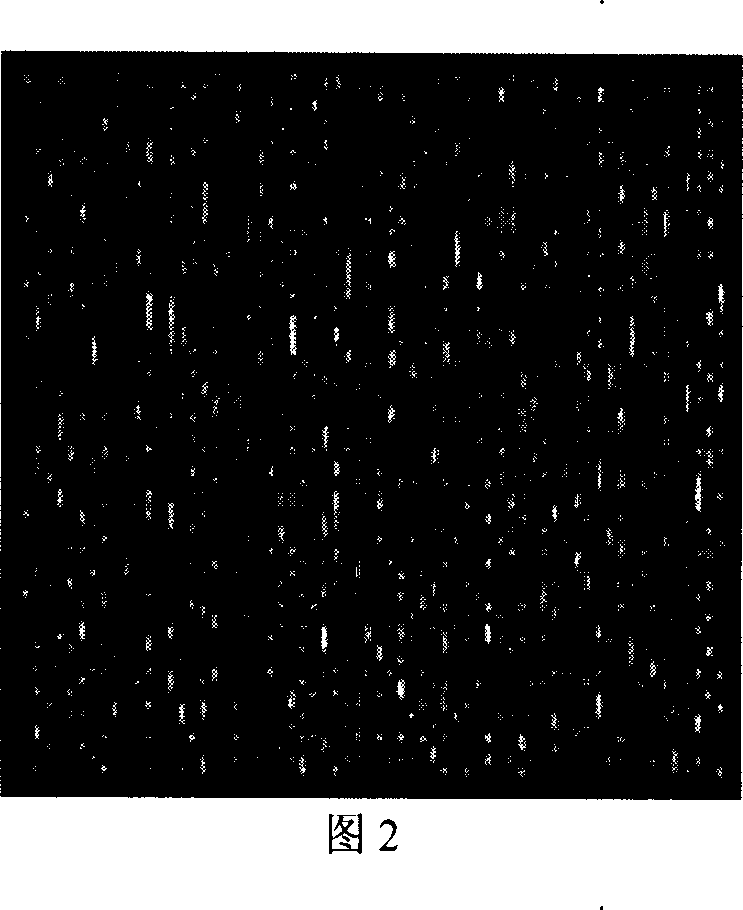 Method for producing absolute zero-position alignment marks by semi-reflective zero-position grating