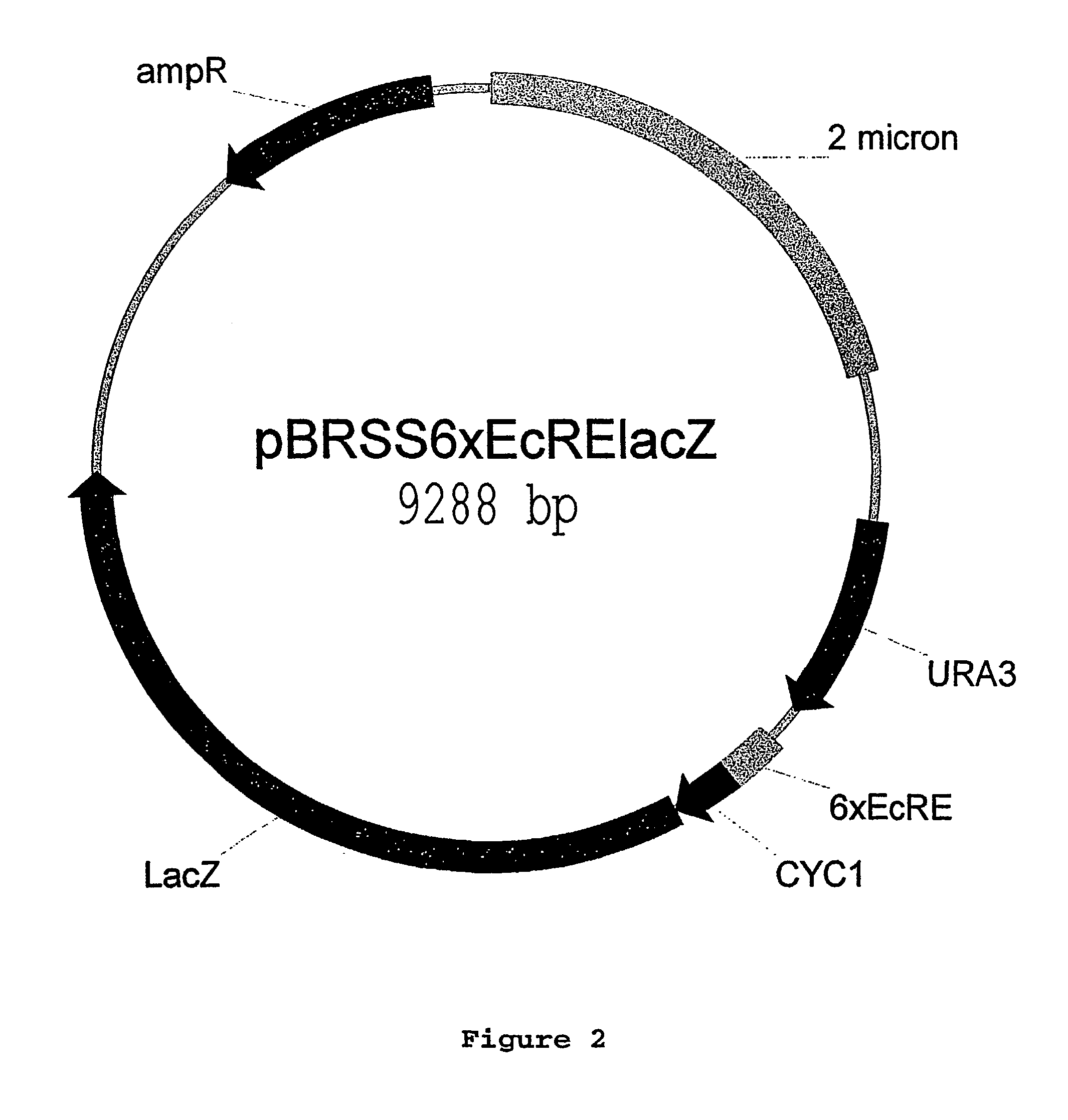 Methods and compositions for identifying ligands for nuclear receptors