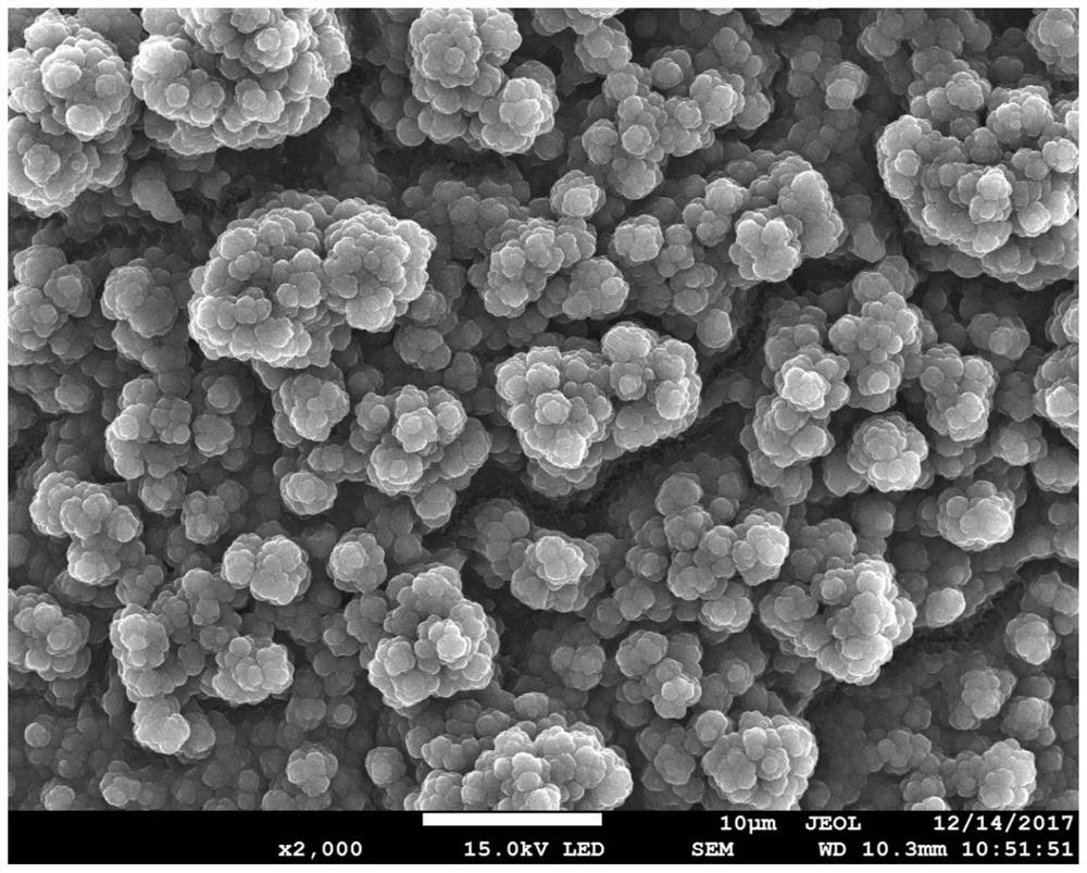 A kind of solid phase microextraction fiber coating and its preparation method and application