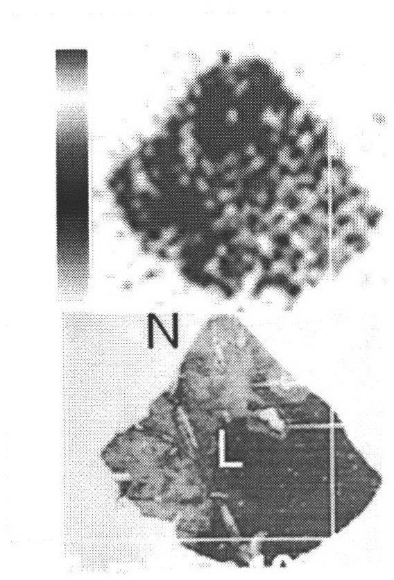 Application of radiolabeled irradiation anthranone or naphtho dianthrone compounds to preparation of antitubercular medicine