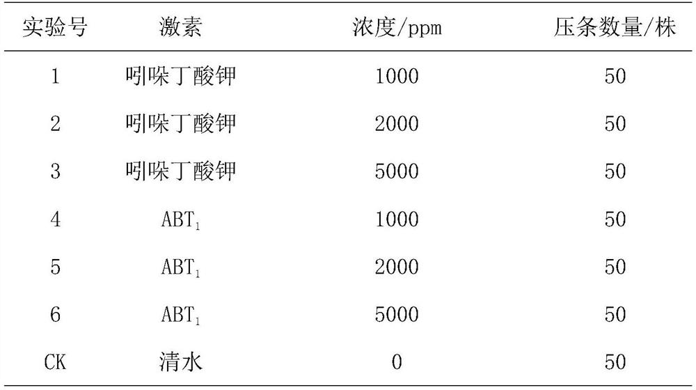 Mongolian oak vegetative breeding method