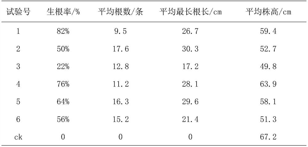 Mongolian oak vegetative breeding method