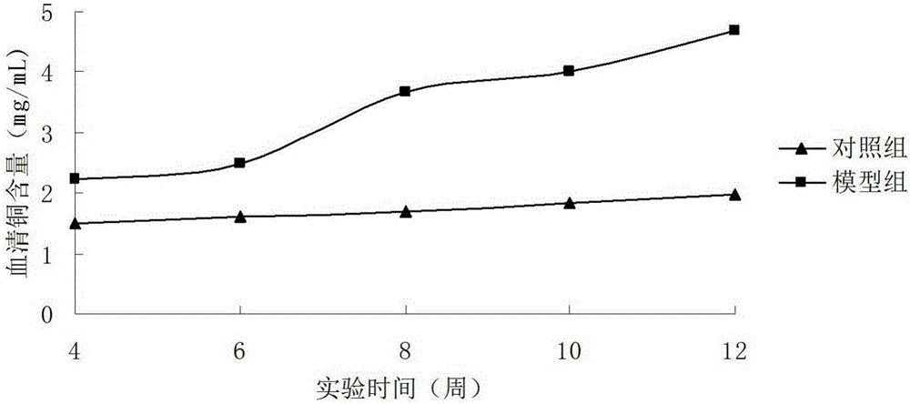 High-copper feed for establishing HLD (hepatolenticular degeneration) animal model and preparation method of high-copper feed