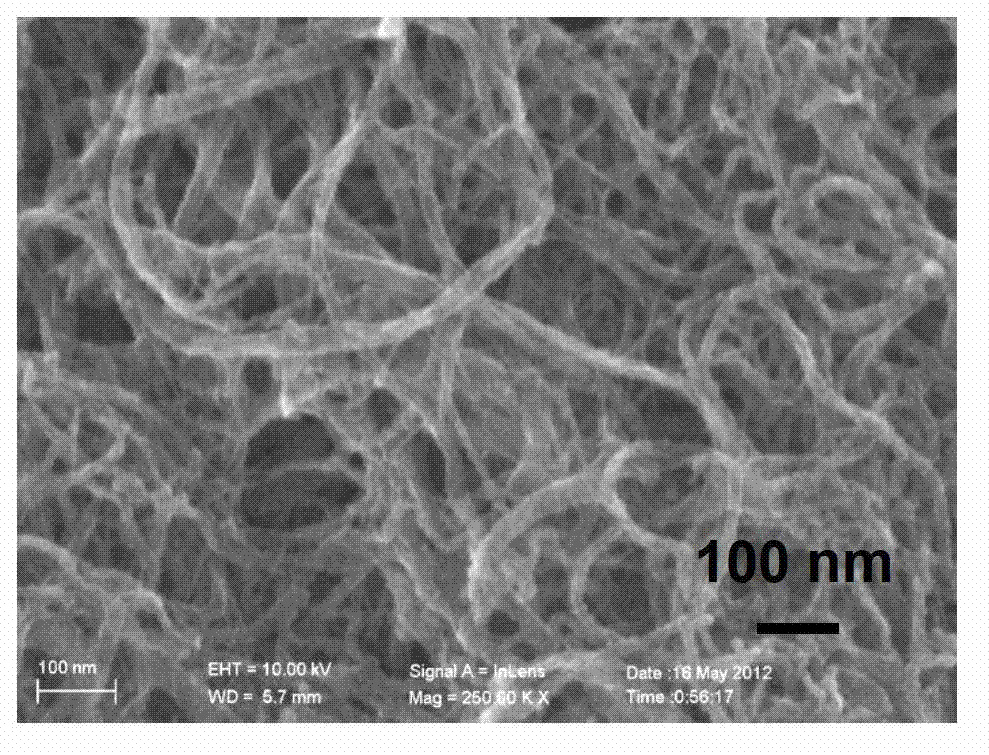 Asymmetric electrochemical capacitor and preparation method of asymmetric electrochemical capacitor