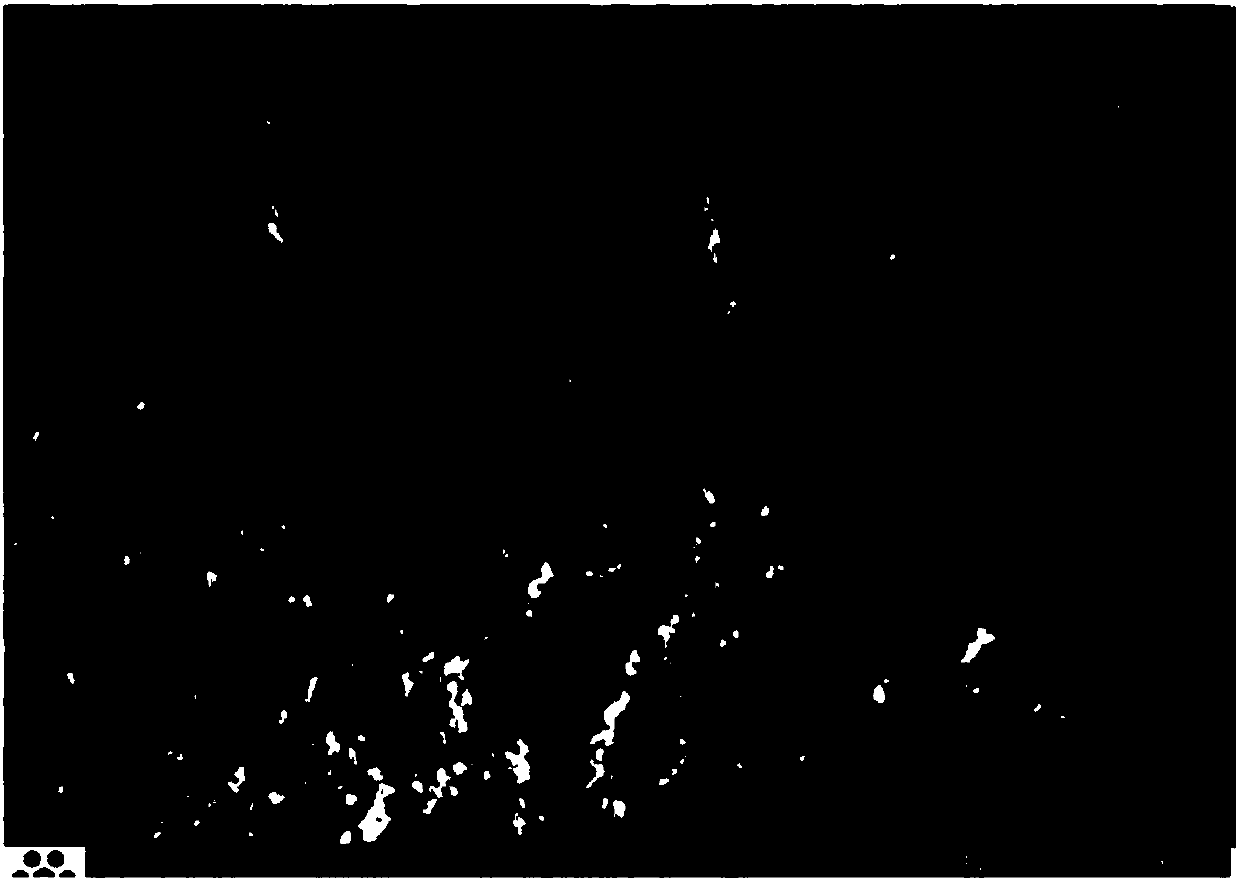 Composite anode material for lithium battery, and preparation method of composite anode material