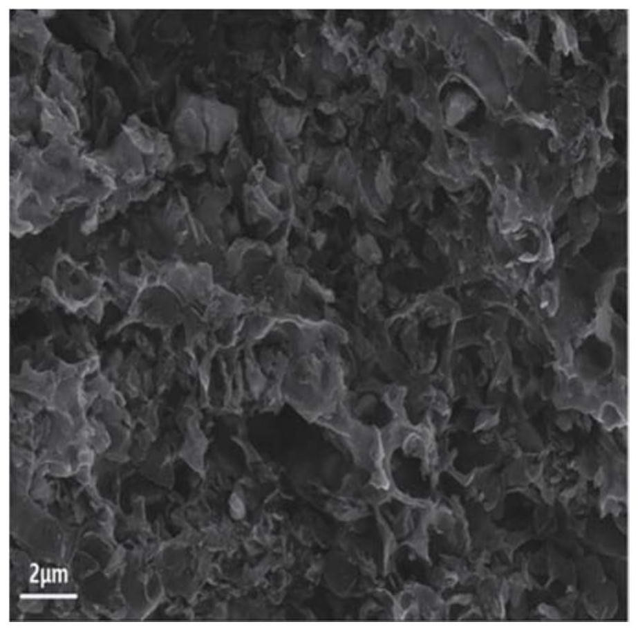 Nitrogen-doped porous carbon material adsorbent for treating dye wastewater as well as preparation method and application thereof