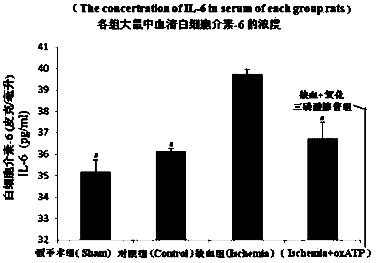 Application of P2X7 antagonist oxATP in preparation of medicament for treating myocardial ischemia injuries and hypertension/sympathetic nervous system diseases