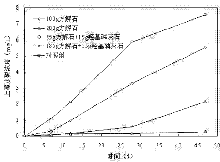 Bottom sediment active covering system and method for controlling sedimentary phosphate release