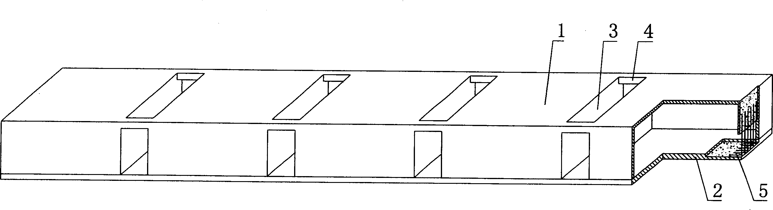 Cavity structural member for hollow slab