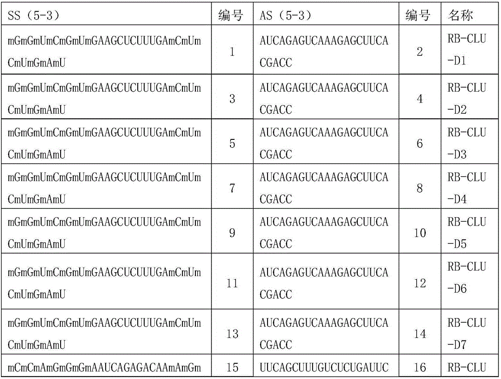 siRNA set for inhibiting cluster protein gene expression and application thereof