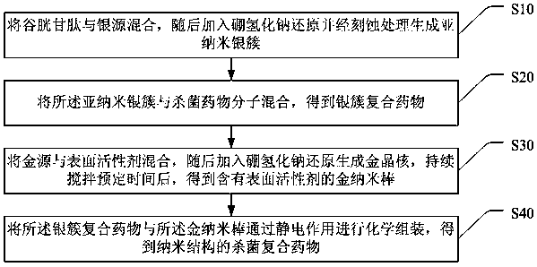 Nanostructured bactericidal composite drug, and preparation method thereof