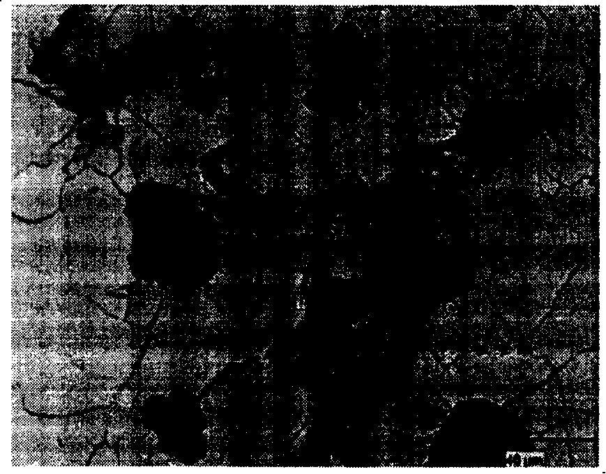 Method for preparing ductile iron exhaust manifold